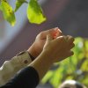 Sticna 2008_036